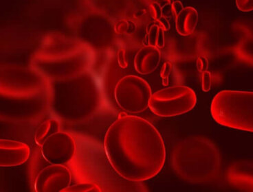 7 remèdes maison pour renforcer les vaisseaux sanguins