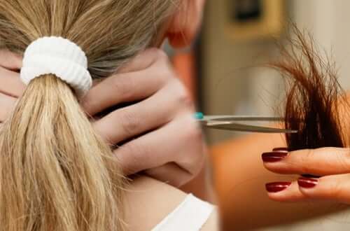 5 aliments merveilleux pour réparer les cheveux secs et cassants