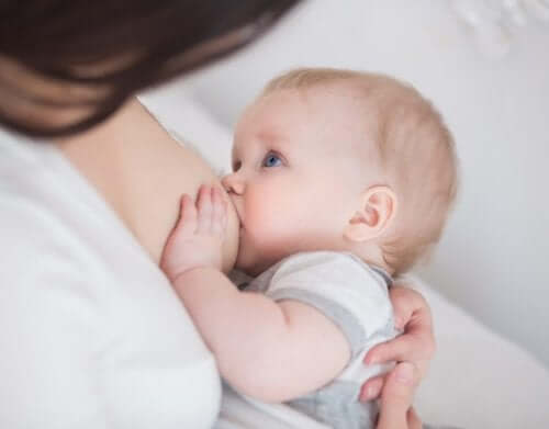 La physiologie de la lactation