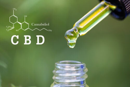 L'utilisation du CBD pour traiter la maladie de Crohn et la colite ulcéreuse