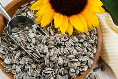 3 recettes avec des graines de tournesol que vous devriez essayer