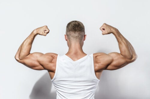 Valine : comment intervient-elle dans l'augmentation de la masse musculaire ?