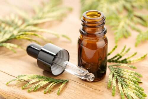 Huiles essentielles : comment et pourquoi fonctionnent-elles ?