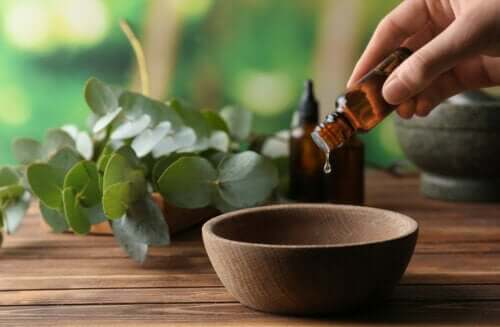 Comment nettoyer la maison avec de l'huile d'eucalyptus ?