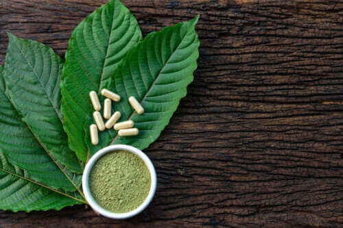 Kratom : est-il sûr de contrôler les dépendances ?