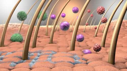 L'importance du microbiote cutané dans la santé de la peau