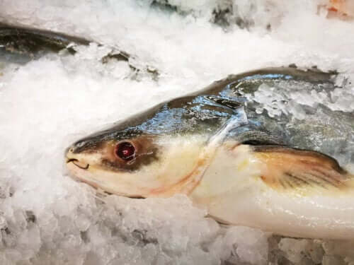 Poisson-chat ou basa : nutrition, bienfaits et risques possibles