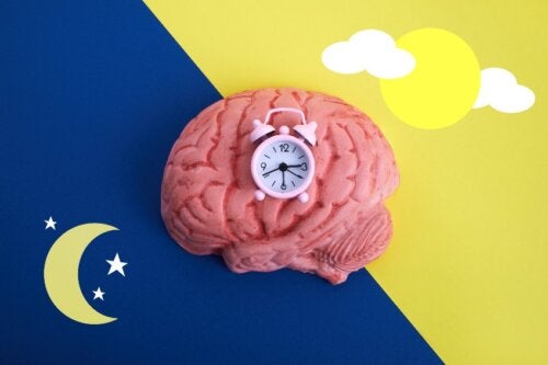 Horloge biologique : comment ça marche ?