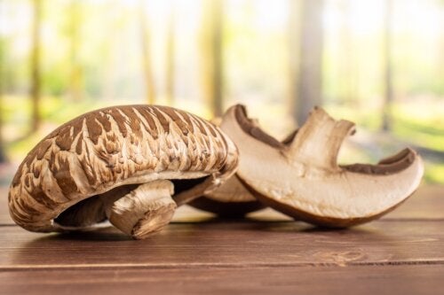 Champignons Cremini : valeur nutritionnelle et bienfaits