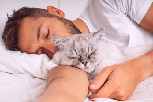 Y a-t-il un risque si je dors avec mon chat ?
