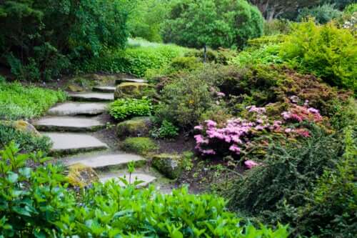 Conseils et étapes pour avoir un jardin alpin chez soi