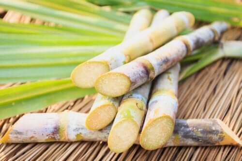 Canne à sucre : valeur nutritive et propriétés