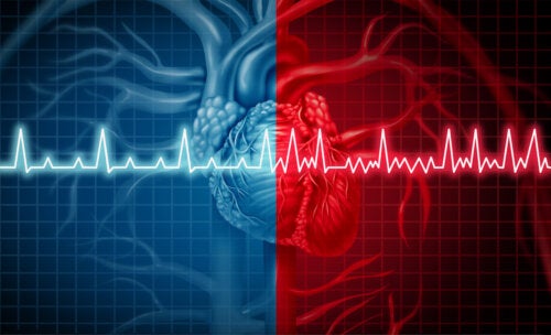 8 conseils pour les patients atteints de fibrillation auriculaire