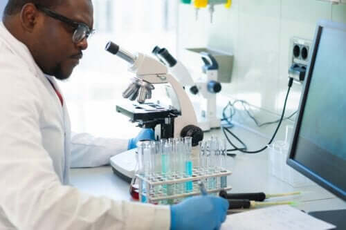 Qu'est-ce que la biotechnologie et quelles sont ses applications ?