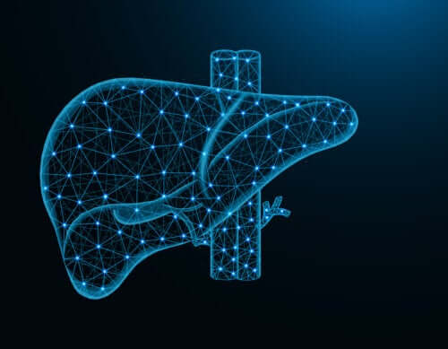 Hypertension portale : causes, symptômes, diagnostic et traitement