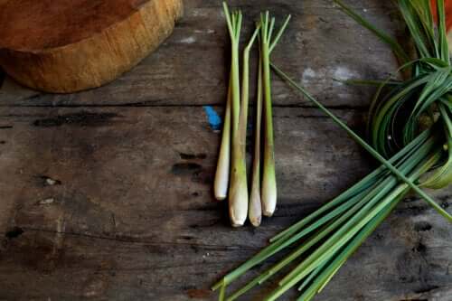 Tout savoir sur la façon de planter et d'utiliser la citronnelle à la maison
