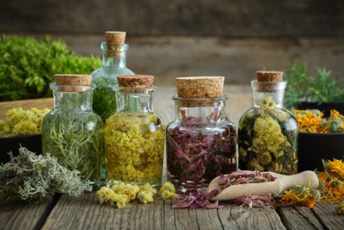 Les remèdes à base de plantes aident-ils à équilibrer les hormones?