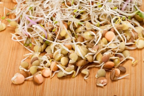 3 recettes healthy avec des pousses de lentilles