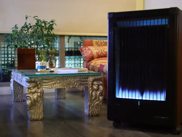 Poêles à flamme bleue caractéristiques et avantages