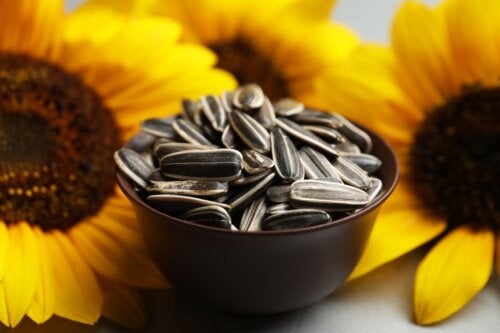 Peut-on manger la coque des graines de tournesol ?