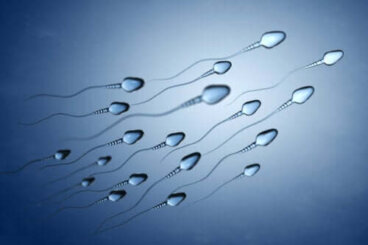 Sperme qui ressemble à de la gélatine blanche : est-ce normal ?