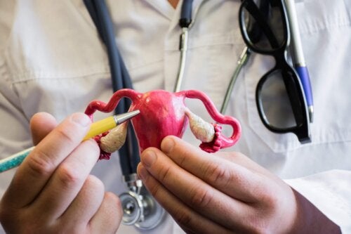 Tout ce que vous devez savoir sur la santé de l'utérus