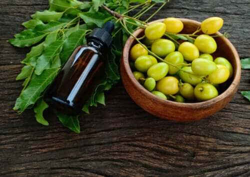 Comment utiliser l'huile de neem pour prendre soin des plantes de jardin