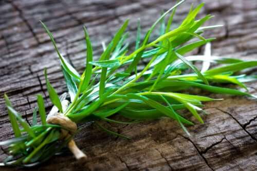 Comment utiliser l'estragon en cuisine ?