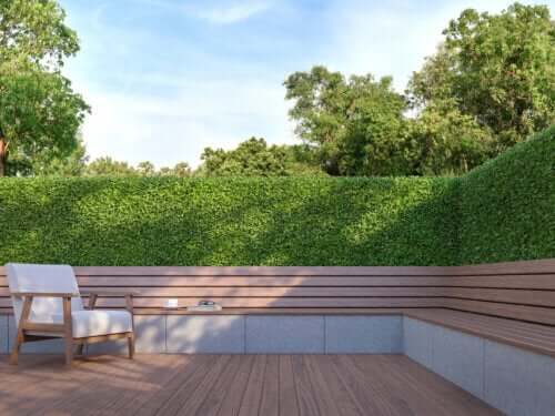 Les meilleurs arbres et arbustes pour plus d'intimité dans le jardin