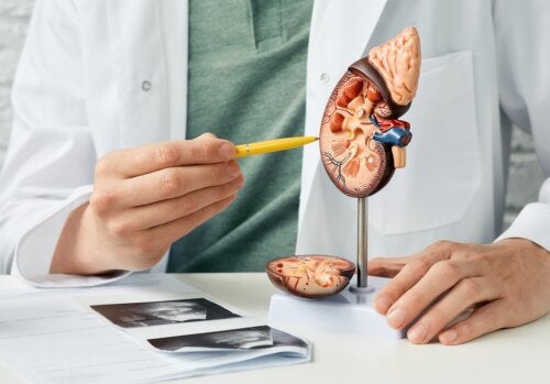 Comment la maladie rénale affecte-t-elle la santé de la peau?