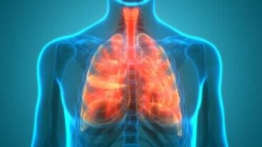 Microbiome pulmonaire : les poumons sont-ils stériles ?